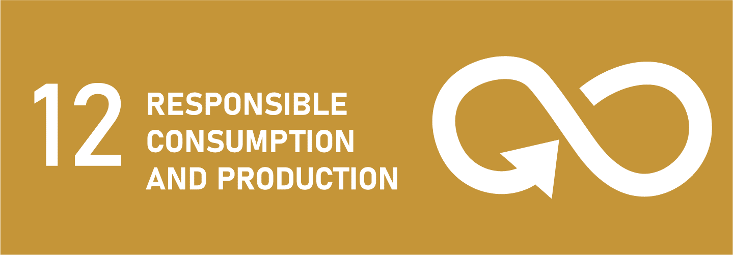 SDG 12: Responsible Consumption and Production