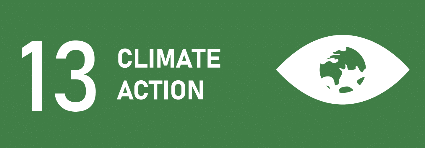 SDG 13: Climate Action